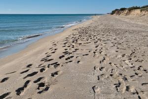 Appartamento corallo rosso-torre mozza