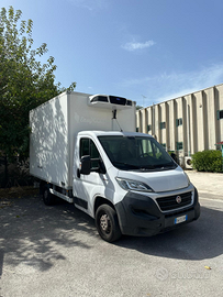 DUCATO FRIGO ATP RINNOVATA