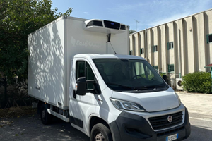 DUCATO FRIGO ATP RINNOVATA