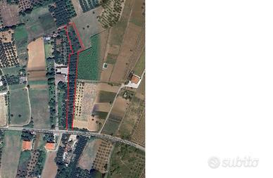 Francavilla al Mare Terreno 88 olivi 2Km dal mare