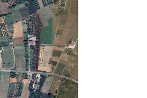 Francavilla al Mare Terreno 88 olivi 2Km dal mare