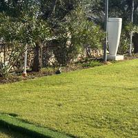 Fontane decorative bianche da esterno