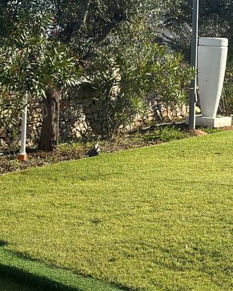 Fontane decorative bianche da esterno