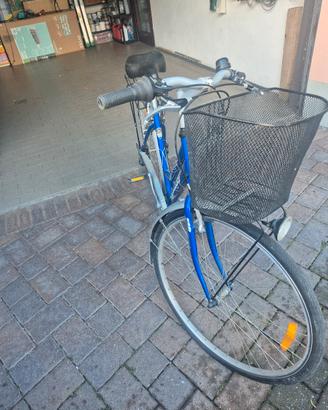 bicicletta 