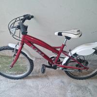 Bicicletta MTB Leri raggio 20