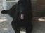 Immagine 29