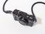 Immagine 7