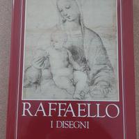 Libro Arte I Disegni di Raffaello Sanzio 1983