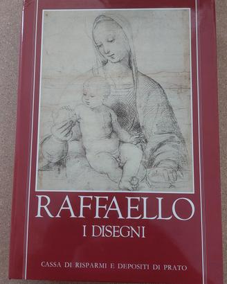 Libro Arte I Disegni di Raffaello Sanzio 1983