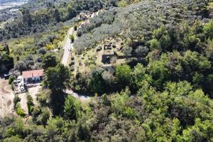 RUSTICO A DOLCEACQUA