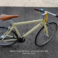 e bike elettrica 