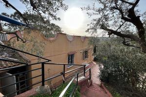 Villino Indipendente con Ampio Terreno