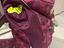 Immagine 1