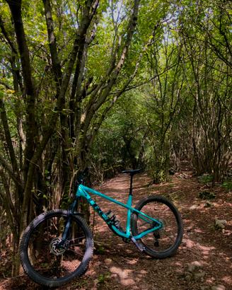 MTB Trek Roscoe