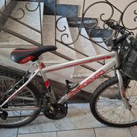 bici mtb 24 pollici