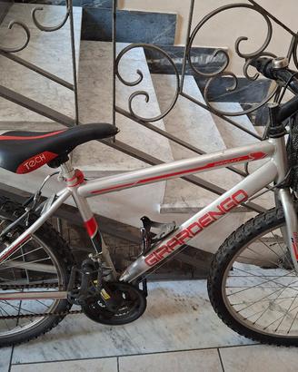 bici mtb 24 pollici