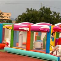 Gonfiabili professionali + 9 mascotte nuovissime