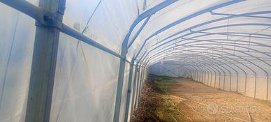 serre/ tunnel