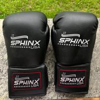 Guantoni Kickboxinkg Sphinx USA