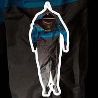 muta stagna da revisionere