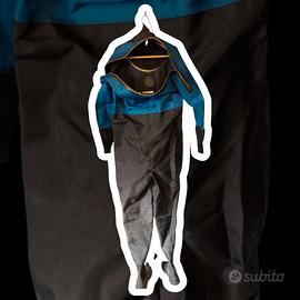 muta stagna da revisionere