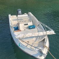 Barca 5m con motore 40cv Yamaha 4 tempi
