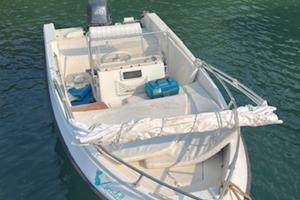 Barca 5m con motore 40cv Yamaha 4 tempi