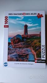 Puzzle 1000 pezzi