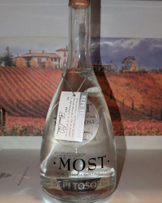 Bepi Tosolini MOST MAGNUM 1,5 L – N. 461