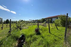 Terreno edificabile - Manzano -