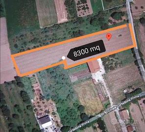 Terreno agricolo airola bn
