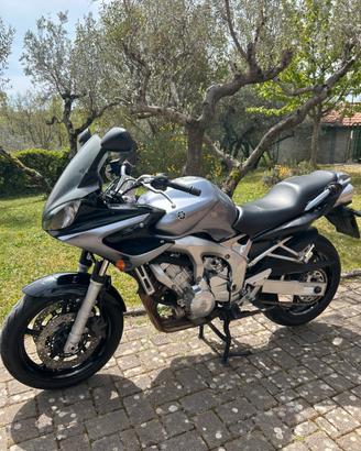 Yamaha 600 Fazer FZ6