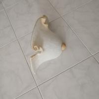 applique da parete co vetro acitato