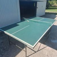 Tavolo da ping pong