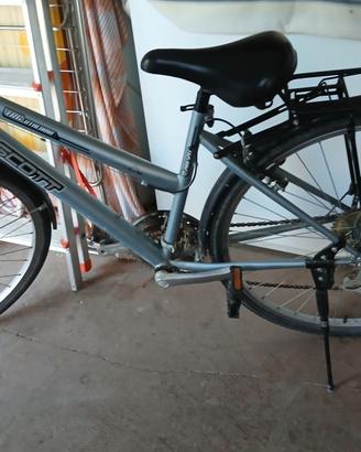 Bicicletta