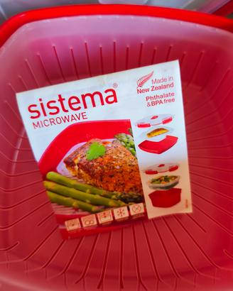 sistema microwave 