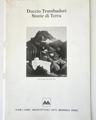 DUCCIO STADERINI & DUCCIO TROMBADORI AAM 1986