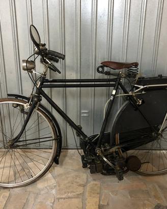 BICI EUSEBI mosquito