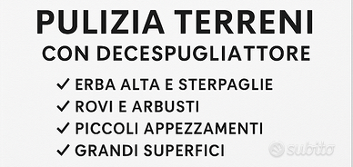 Pulizie terreno con decespugliatore Zona Acireale