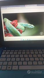 Laptop HP Stream 13" Blu con Windows 10 -