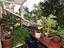 Immagine 26