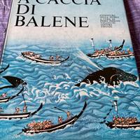A caccia di Balene