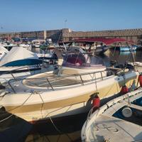 Mingolla Brava 26 wa