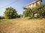 Immagine 29