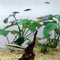 ACQUARIO 90 LITRI