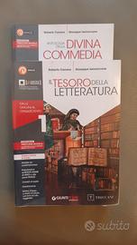 Libro il Tesoro della Letteratura
