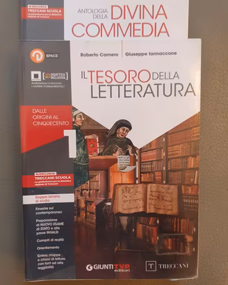 Libro il Tesoro della Letteratura