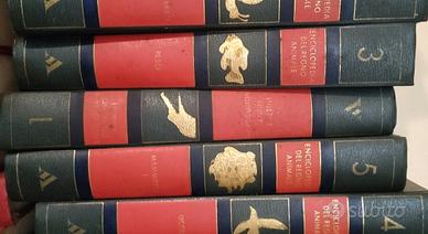 Enciclopedia del regno animale, Arnoldo Mondadori.