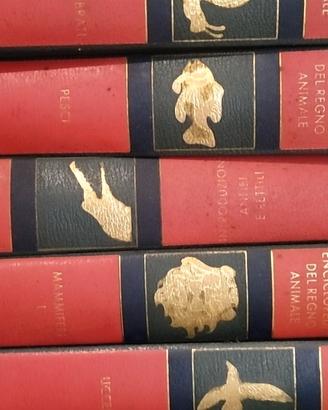 Enciclopedia del regno animale, Arnoldo Mondadori.