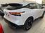 Immagine 10